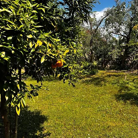 Welcome Traveller Laurence Garden Apartments Apartment Rome